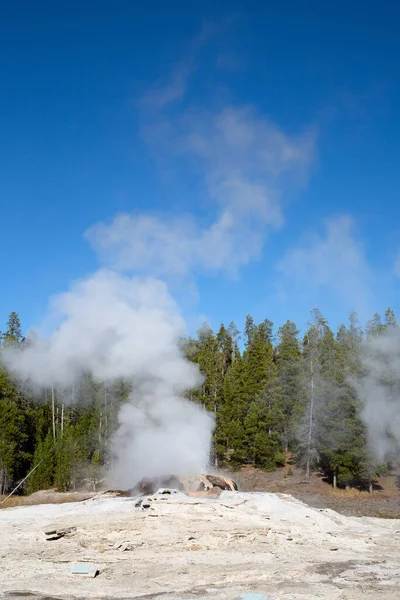 Gejser Udbrud Yellowstone Nationalpark Usa - Stock-foto