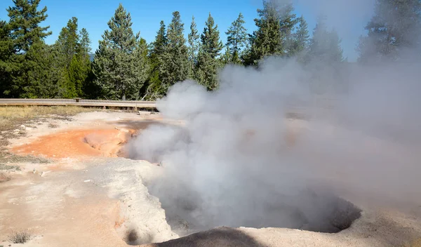 Cuenca Del Géiser Inferior Parque Nacional Yellowstone Estados Unidos — Foto de Stock