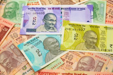 Hint banknotlarının koleksiyonu.