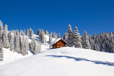İsviçre Alplerinde kış