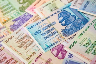 Yüksek enflasyondan sonra Zimbabwe 'nin banknotları