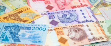 Afrika banknotlarının çeşitliliği