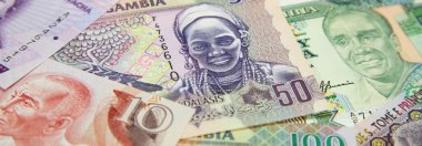 Afrika banknotlarının çeşitliliği