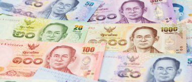 Tayland baht notası Tayland kralı tasviri