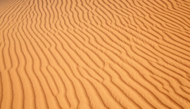 Suudi Arabistan, Riyad yakınlarında kırmızı kum 