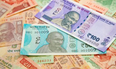 Hint banknotlarının koleksiyonu.