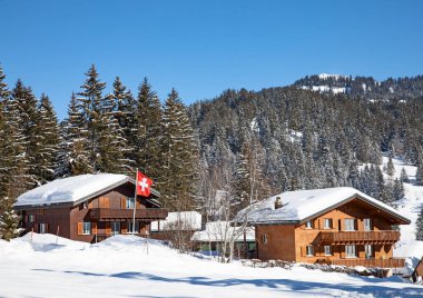 İsviçre Alplerinde kış, İsviçre 'nin St. Gallen kantonu yakınlarındaki Arvenbuel köyü.
