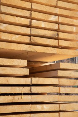 Kereste deposunda bir yığın yeni ahşap çivi.