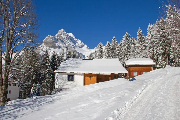 Vinter Schweiziska Alperna Schweiz — Stockfoto