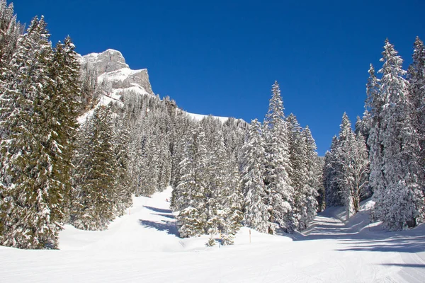 Winter Den Schweizer Alpen Schweiz — Stockfoto