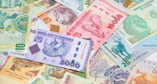 Vielfalt Der Afrikanischen Banknoten — Stockfoto
