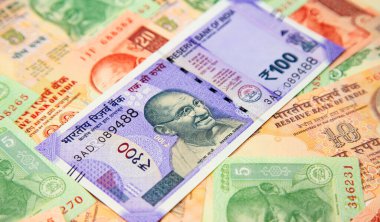Hint banknotlarının koleksiyonu.