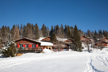 İsviçre Alplerinde kış, İsviçre 'nin St. Gallen kantonu yakınlarındaki Arvenbuel köyü.