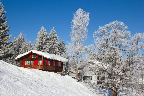 Χειμώνας Στις Ελβετικές Άλπεις Ελβετία — Φωτογραφία Αρχείου