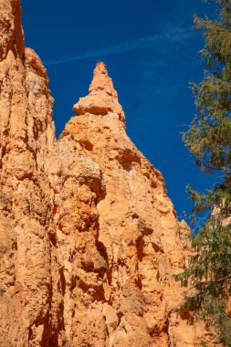 Bryce Canyon Ulusal Parkı Utah, ABD