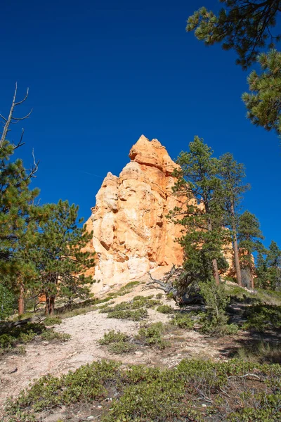 Národní Park Bryce Canyon Utahu Usa — Stock fotografie