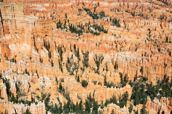 Parque Nacional Canyon Bryce Utah Eua — Fotografia de Stock