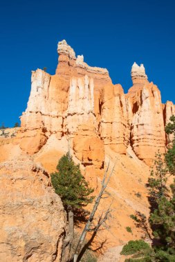 Bryce Canyon Ulusal Parkı Utah, ABD