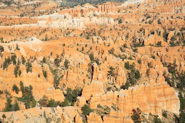 Parque Nacional Canyon Bryce Utah Eua — Fotografia de Stock