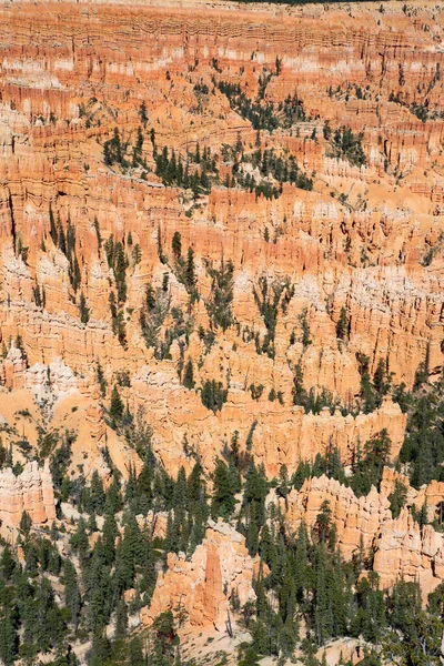 Parque Nacional Canyon Bryce Utah Eua — Fotografia de Stock