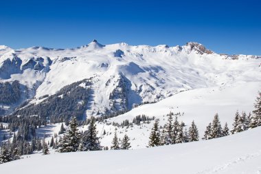 Kayak merkezindeki eğim