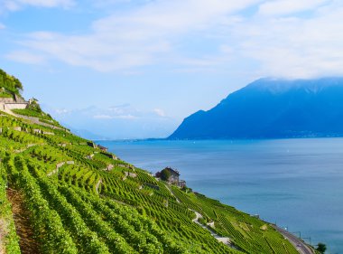 Lavaux bölgesi