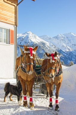 İsviçre Alplerinde kış