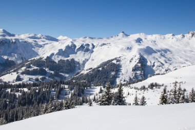 Kayak merkezindeki eğim