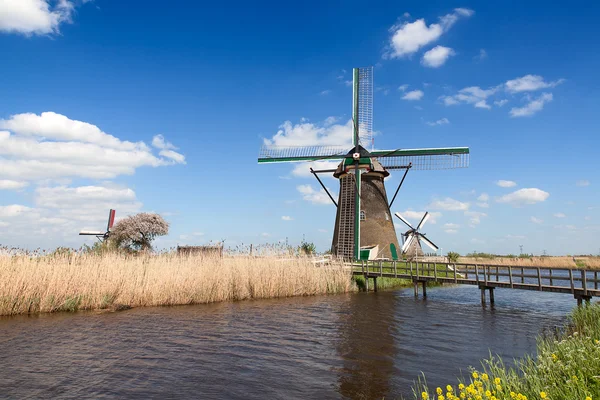 Traditionele Nederlandse windmolens — Stockfoto