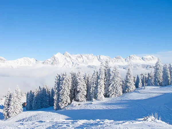 Inverno sulle Alpi svizzere — Foto Stock