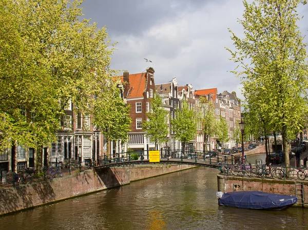 Maisons de l'Amsterdam — Photo