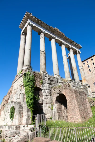 Ruins of the forum — Stock Photo, Image