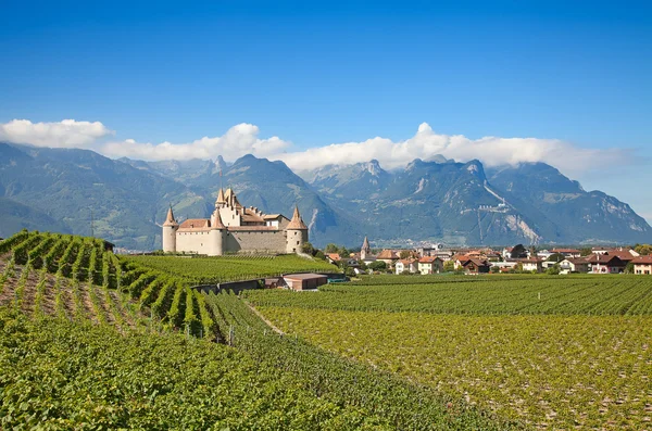 Vignobles de la région Lavaux — Photo