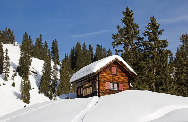 İsviçre Alplerinde kış