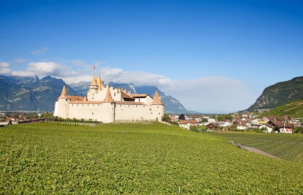 Zámek Chateau hnízdo v kantonu Vaud — Stock fotografie