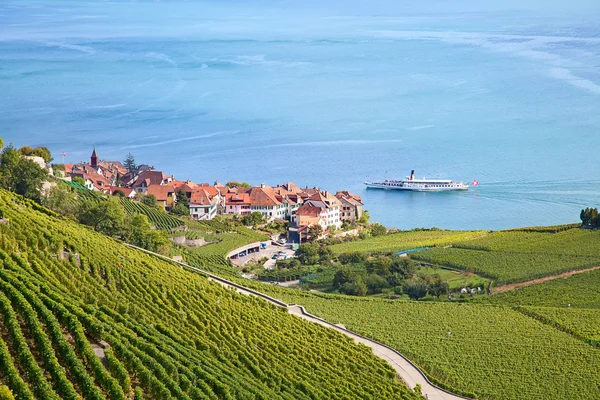 Vinhas da região de Lavaux — Fotografia de Stock