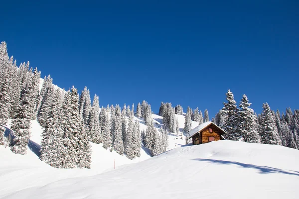 Winter in de Alpen — Stockfoto