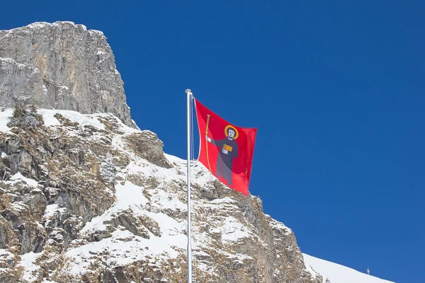 Inverno nelle Alpi — Foto Stock