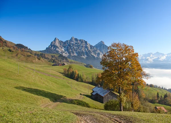 Jesień w szwajcarskich Alpach — Zdjęcie stockowe