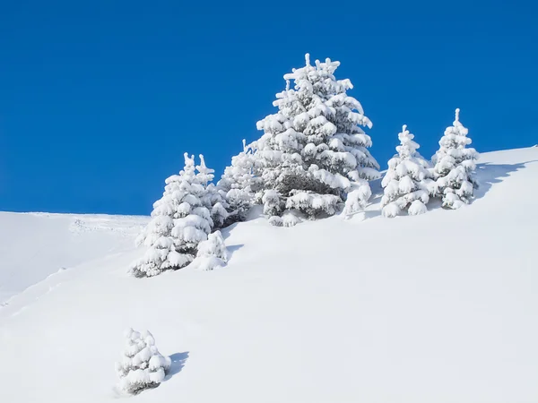 더운 알프스에서 겨울을 나다 — 스톡 사진