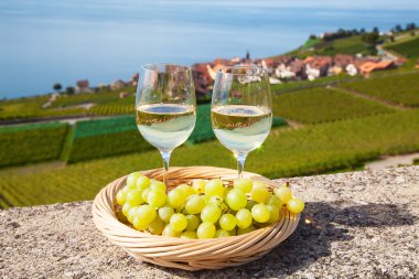 Lavaux bölgesinin üzüm bağları