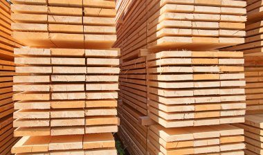 taze ahşap Çıtçıt