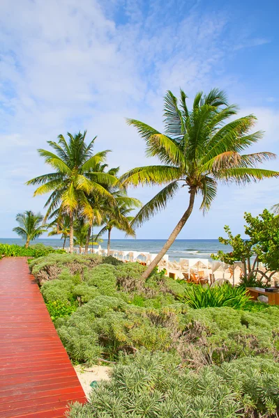 Sandy beach — Stock Photo, Image