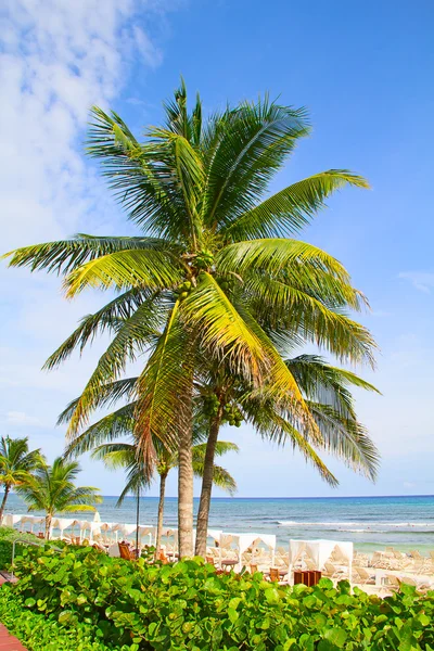 Sandstrand - Stock-foto