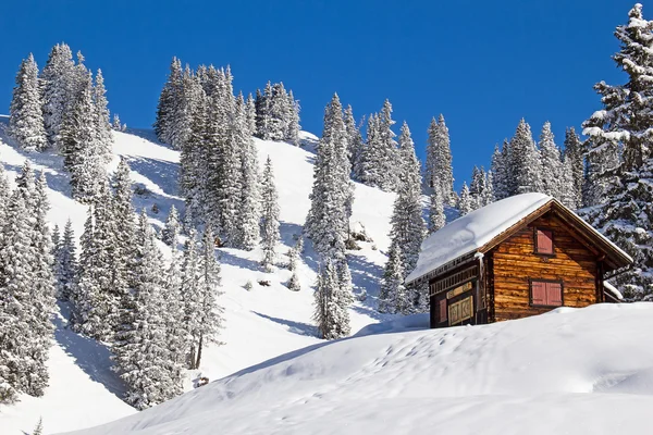 Invierno en los Alpes suizos — Foto de Stock