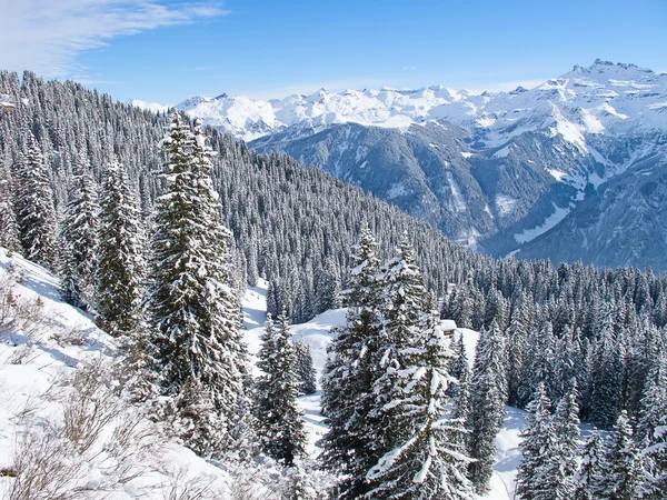 Paesaggio invernale — Foto Stock