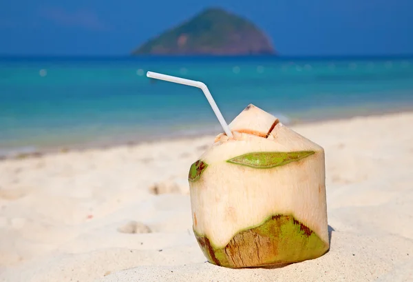 Coconut cocktail — Stock Photo, Image