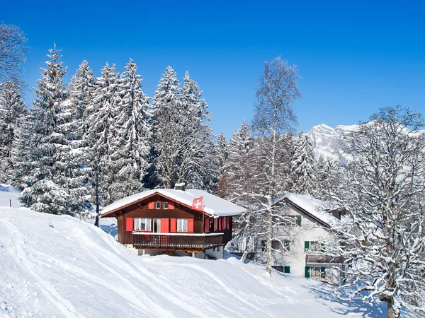 Winter in de Alpen — Stockfoto