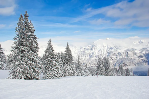 Skiën helling — Stockfoto