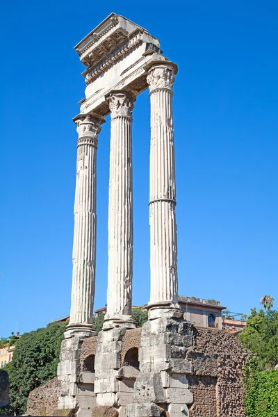 Ruins of the forum — Stock Photo, Image